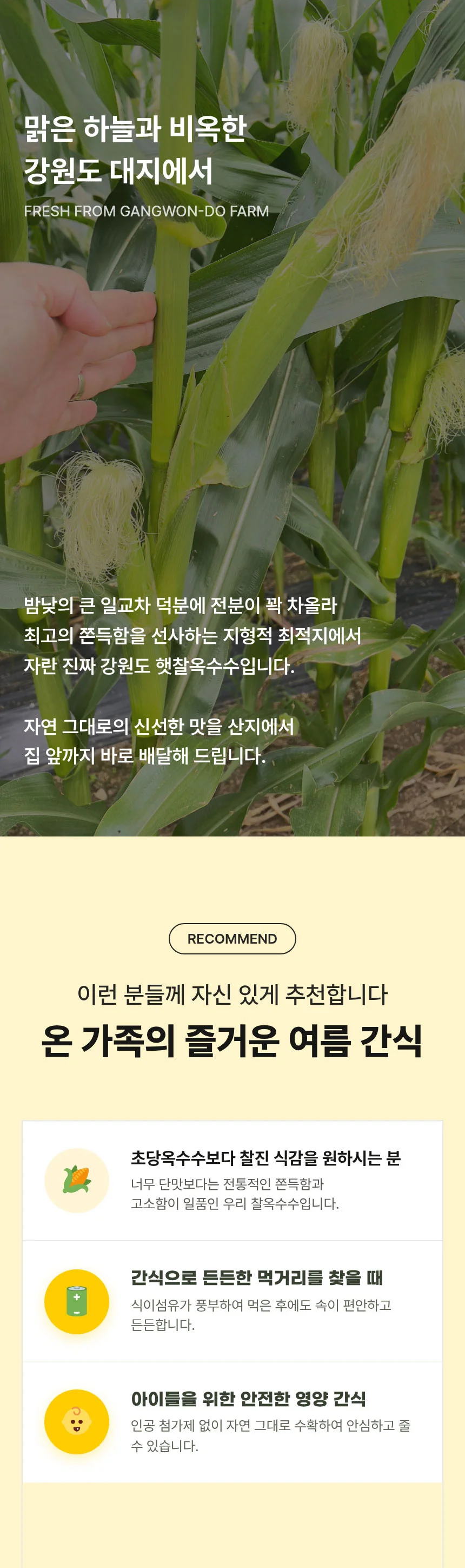 강원도 미백 찰옥수수 특품 20개입 (16 22cm 내외) 상세2