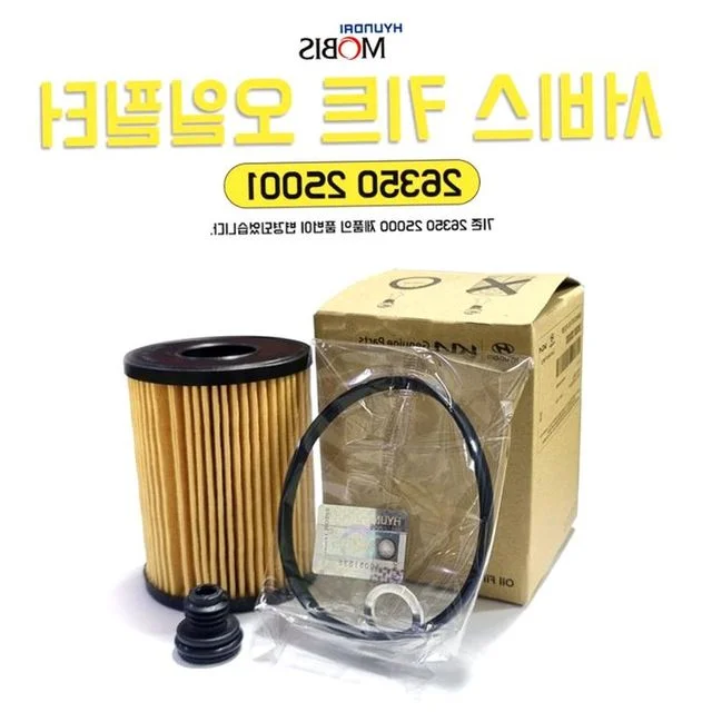 가솔린 2.5 오일필터 서비스키트 더뉴싼타페 K8 1개