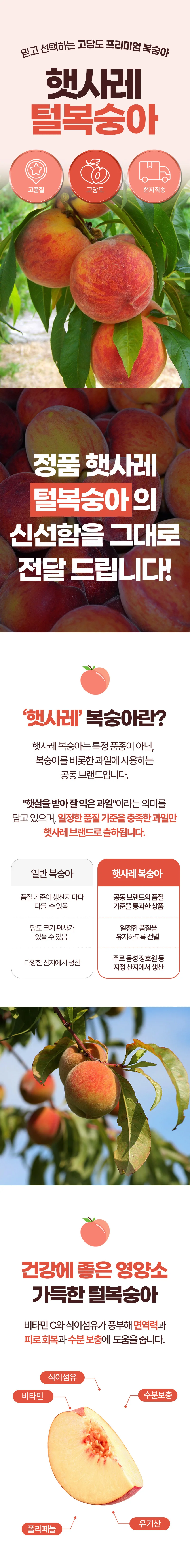 햇사레 황도복숭아 대과 2kg(8~9과 내외) 상세1