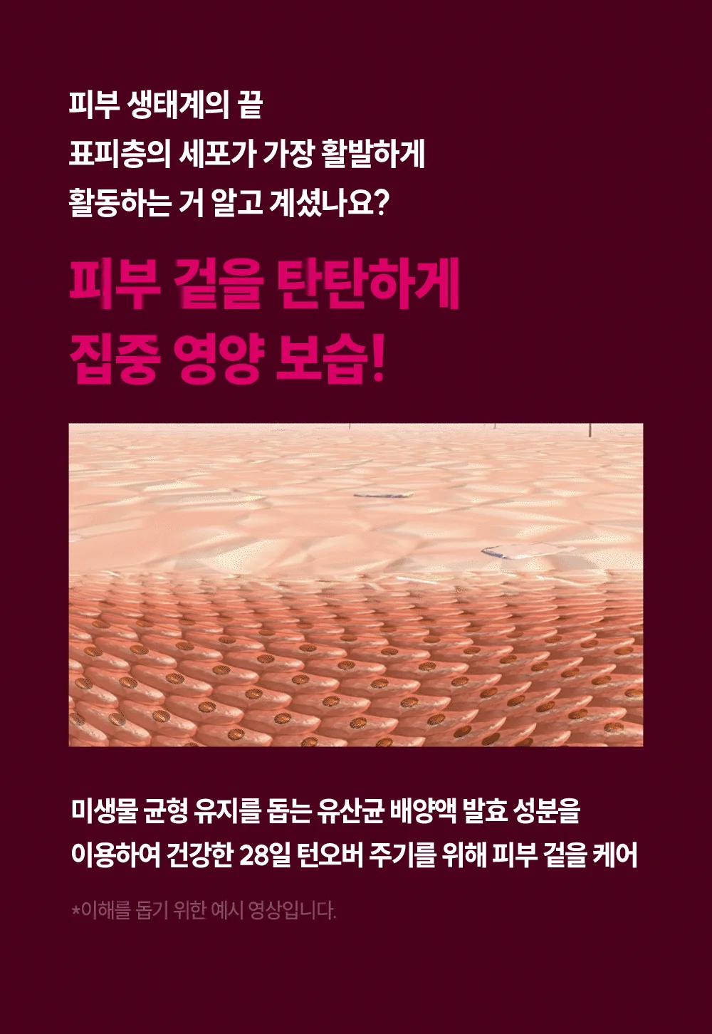 닦토토너 피어브 앰플 락토비피다 진정토너 대용 상세5
