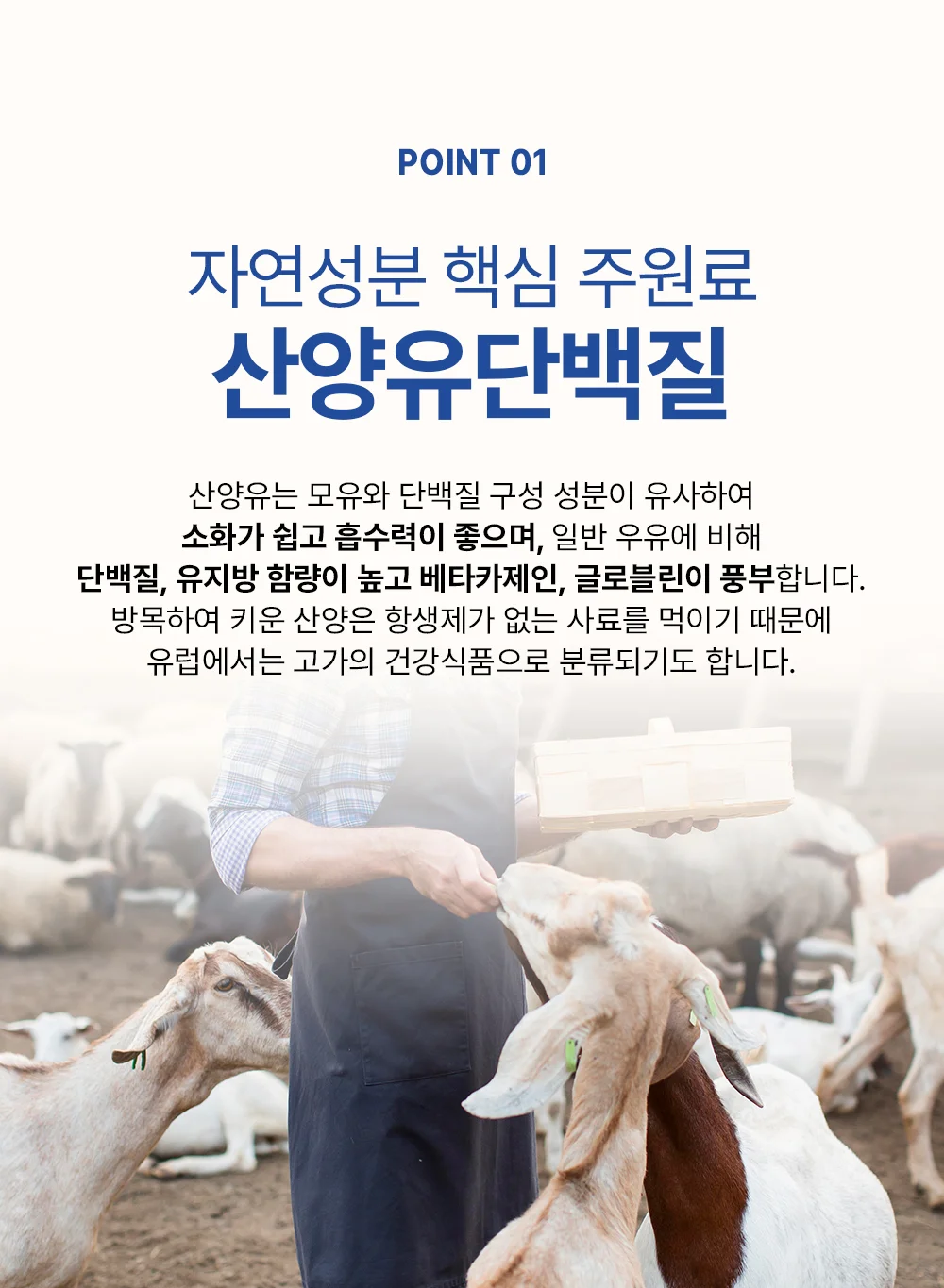 셀메이드 산양유초유프로틴 300g 1병 상세4