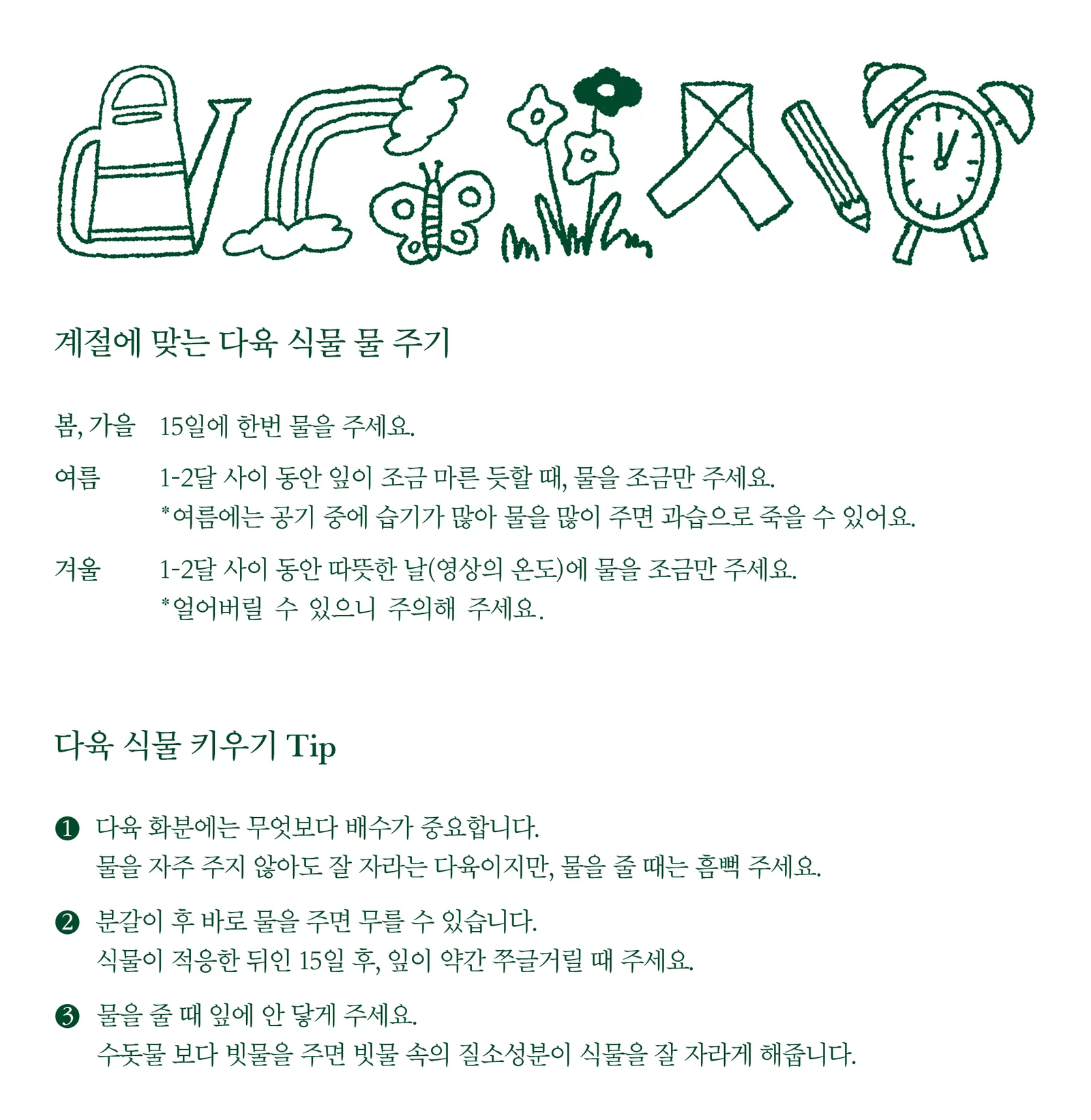 다육이 모둠 세트 반려식물 홈가드닝 키우기 구성 상세5