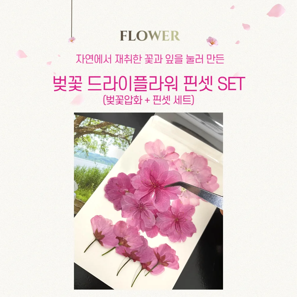 봄 벚꽃 드라이플라워 압화 3종 핀셋 (세트) 상세1