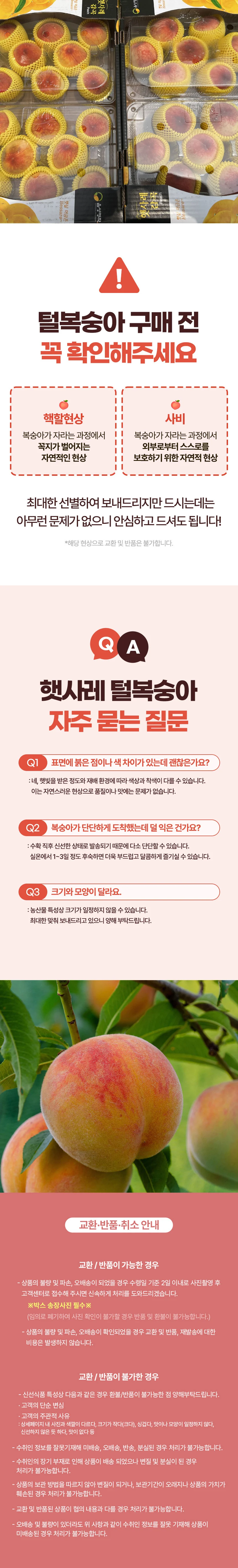 햇사레 황도복숭아 대과 2kg(8~9과 내외) 상세3