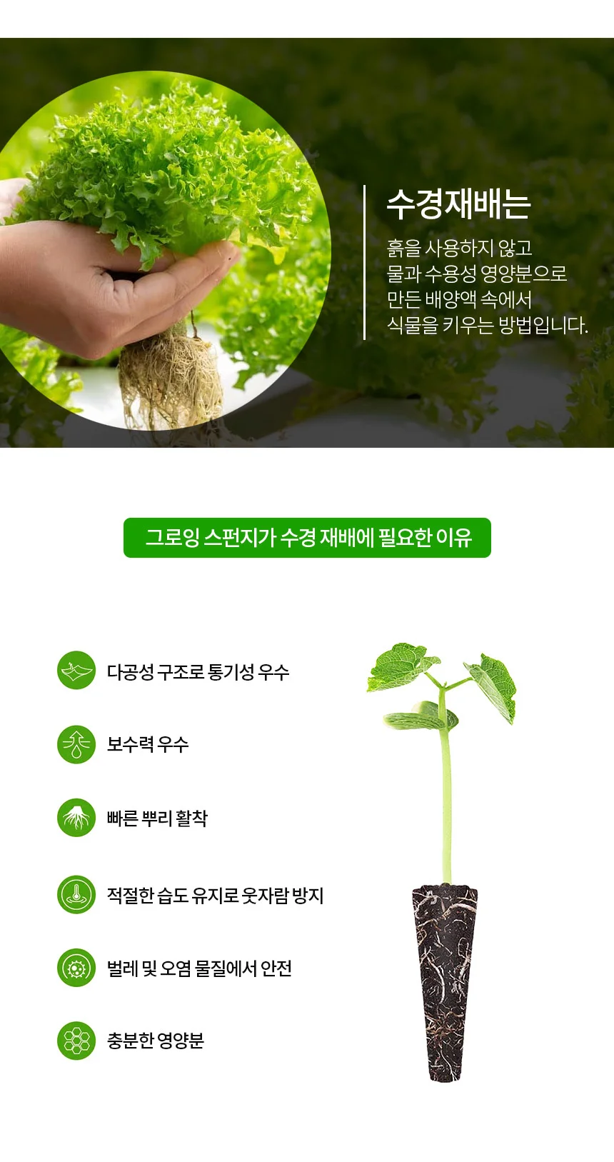 그로잉 스펀지(1P) 상세3