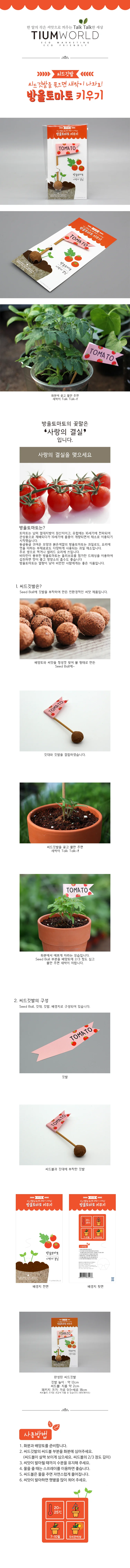 씨앗깃발 방울토마토 식물키우기키트 방울토마토씨앗 식물체험 방울토마토키우기 상세1