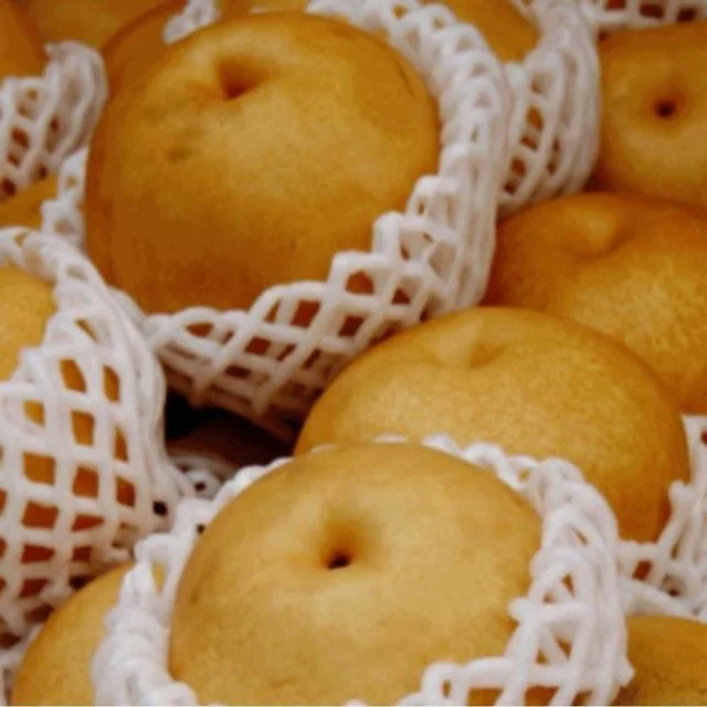 과일 배 26년 햇배 원황 가정용 3Kg delicious pear