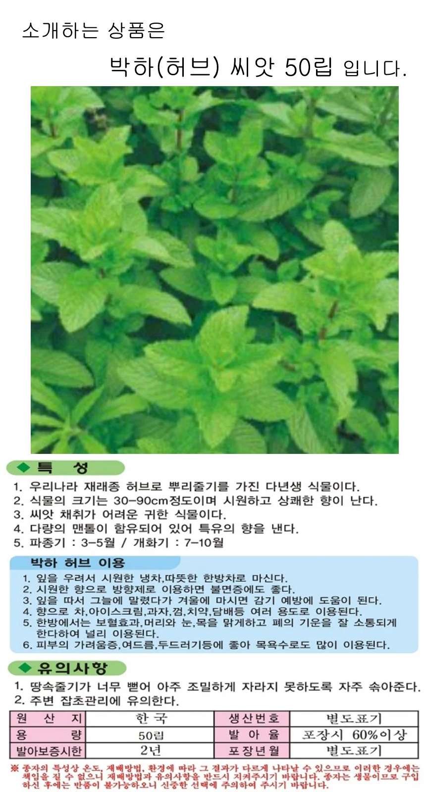 국내 채종 박하 품종 재래종 씨 종자 씨앗 50 립 상세1