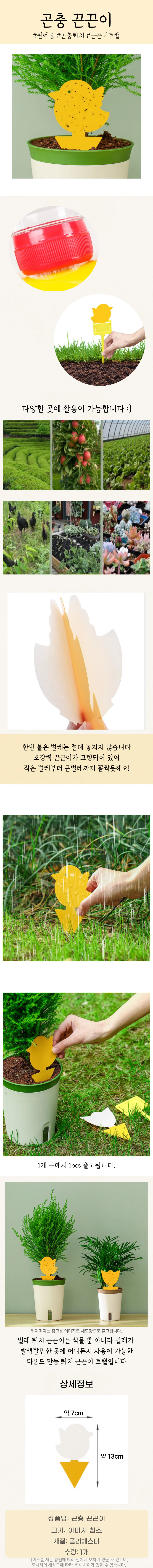 곤충 끈끈이 상세4