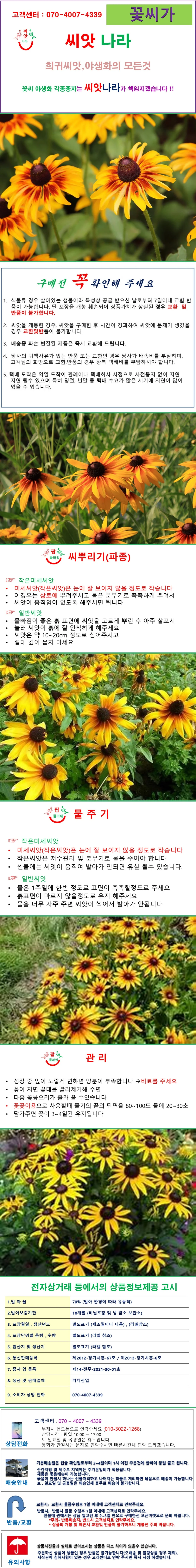 루드베키아 선셋 Sunset 씨앗 15립 상세1