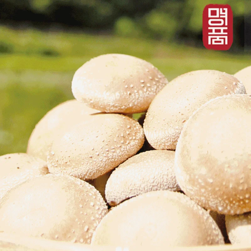 버섯 국산 표고 친 환 경 명품 생표고 1kg 상세2