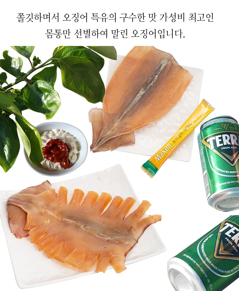 몸통오징어 1kg 상세3