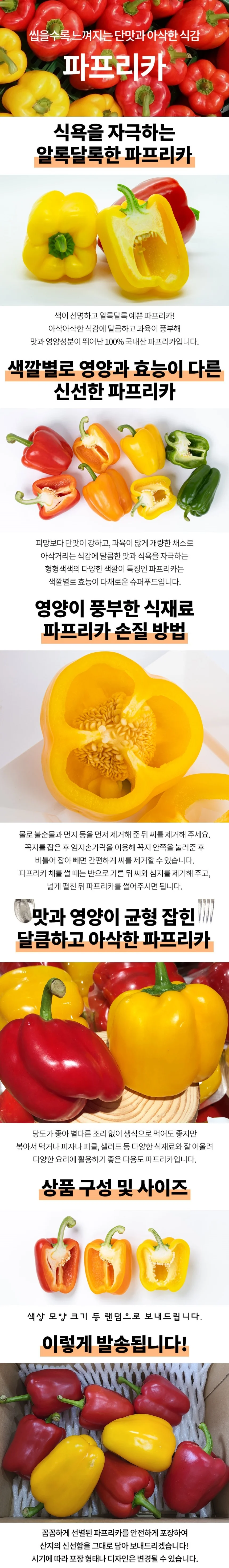 파프리카 5kg 상세1