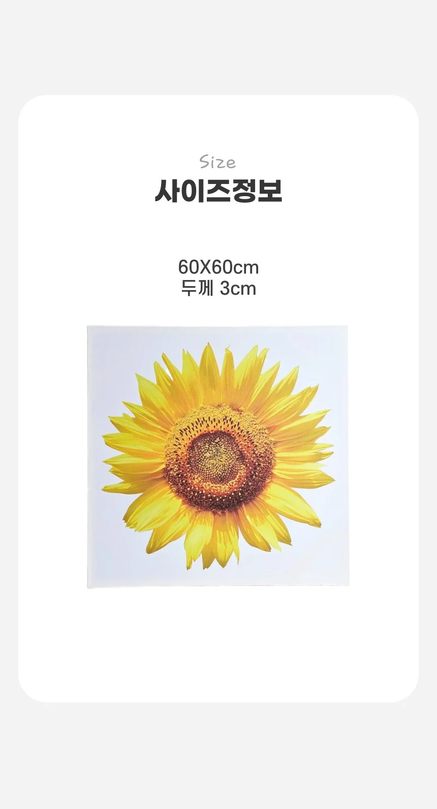 금전운 풍수 해바라기 캔버스 그림 액자 2종 60x60 상세5