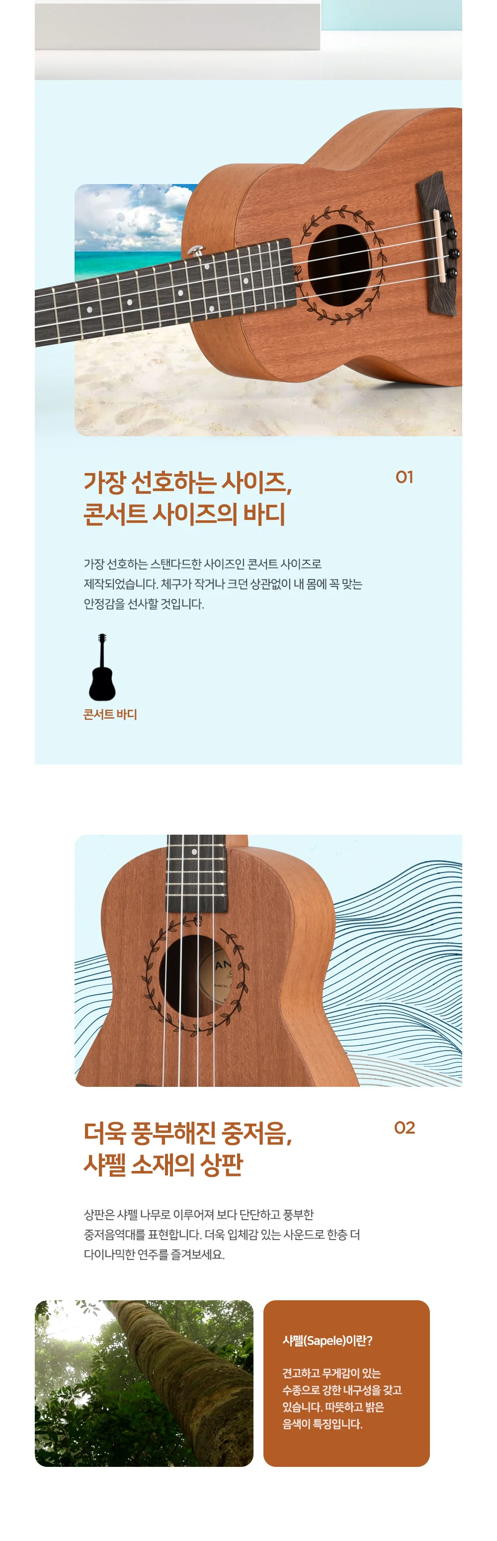 엔젤 샤펠리 우쿨렐레 콘서트 상세4