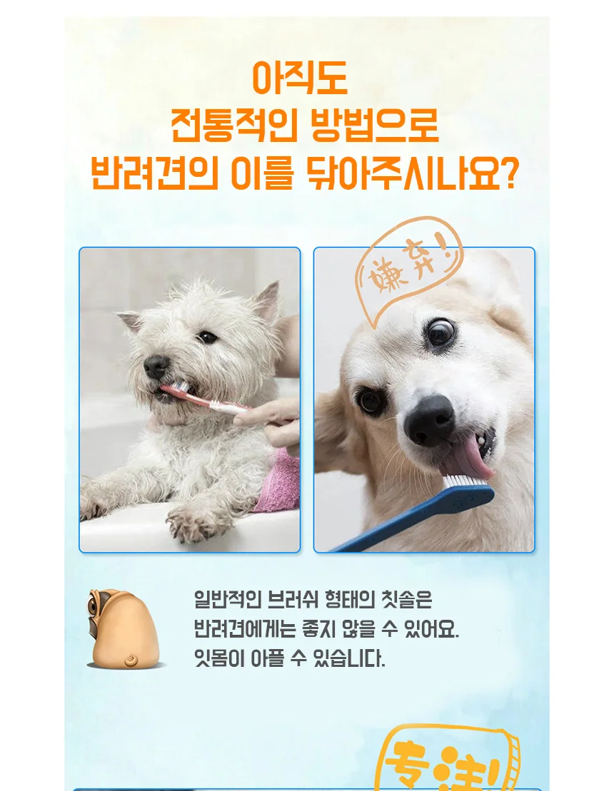 셀프칫솔 대형 그린 애견칫솔 애견치석제거 상세4