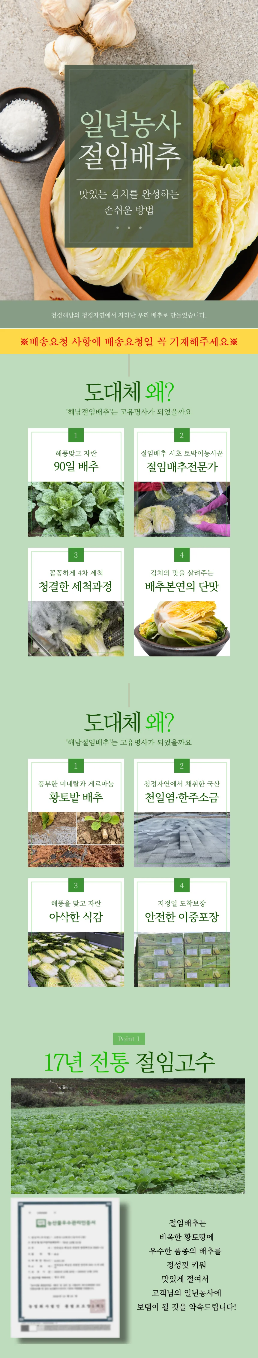 농사 해남 세척 절임 김장 배추 20kg 6 10포기 상세1