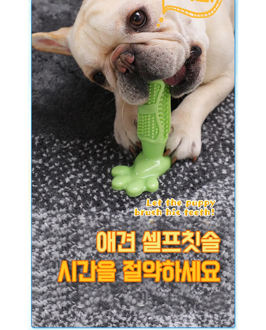 셀프칫솔 대형 그린 애견칫솔 애견치석제거 상세5