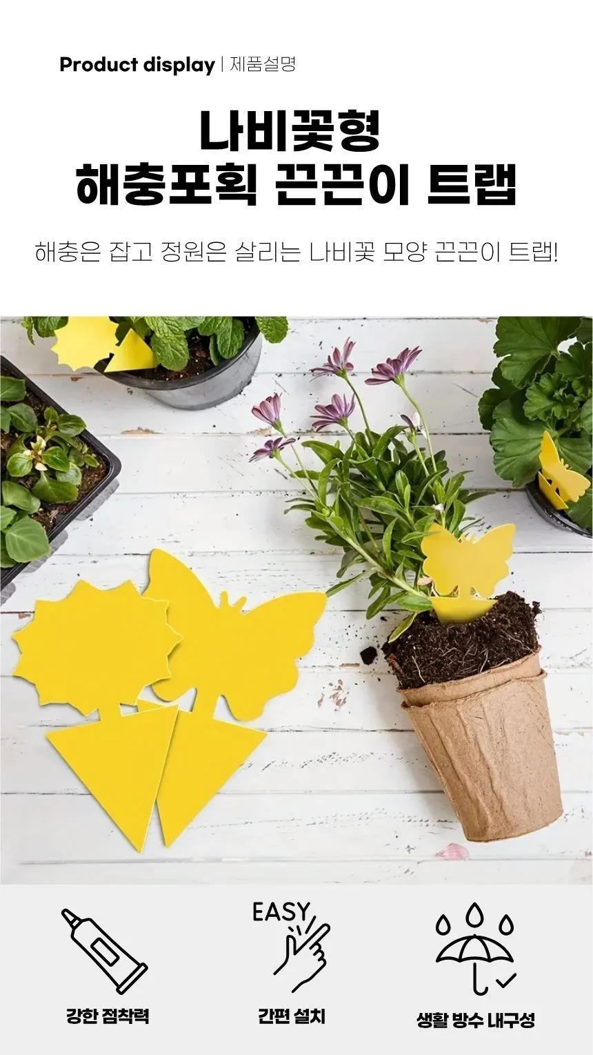 나비모양 해충끈끈이트랩 식물보호용 실내외 벌레차단 상세3
