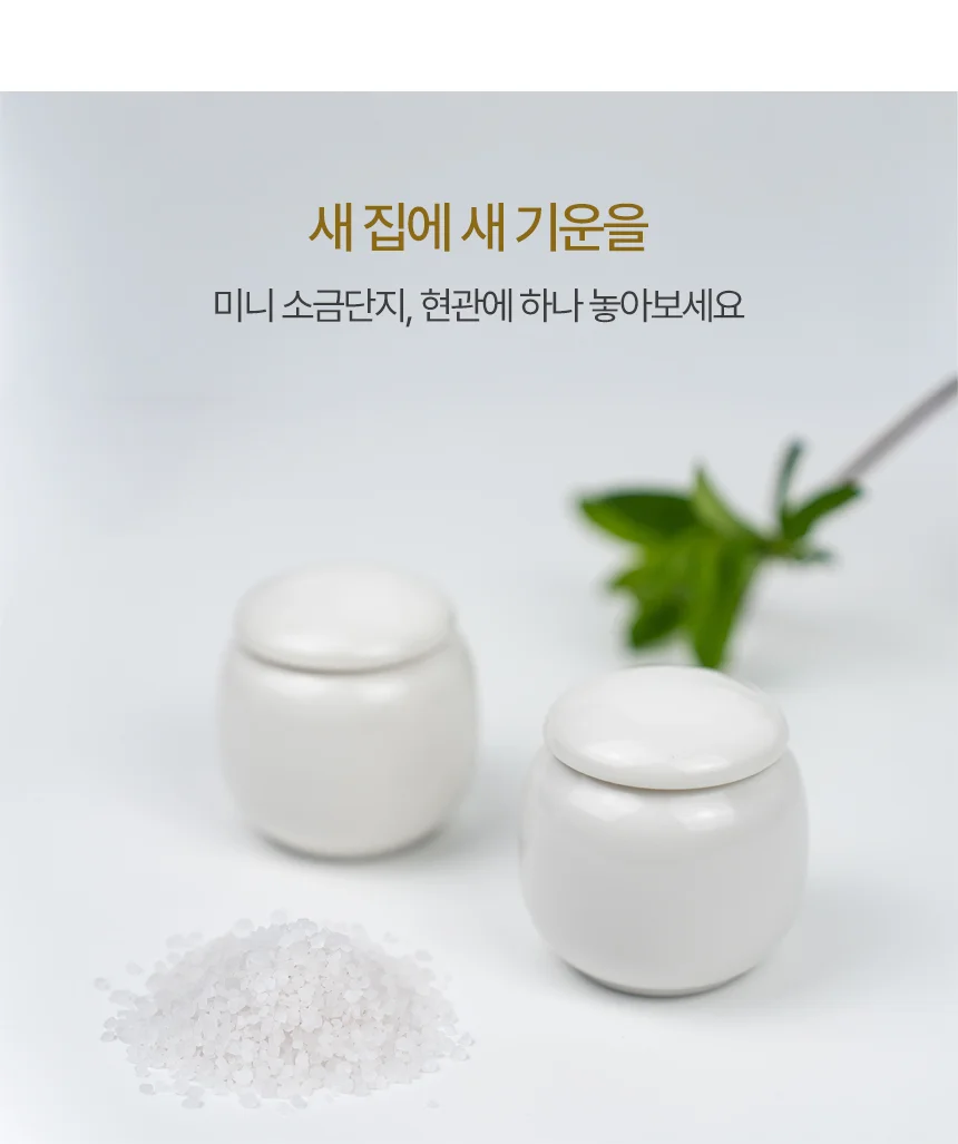 미니 도자기 항아리 소금단지 상세2