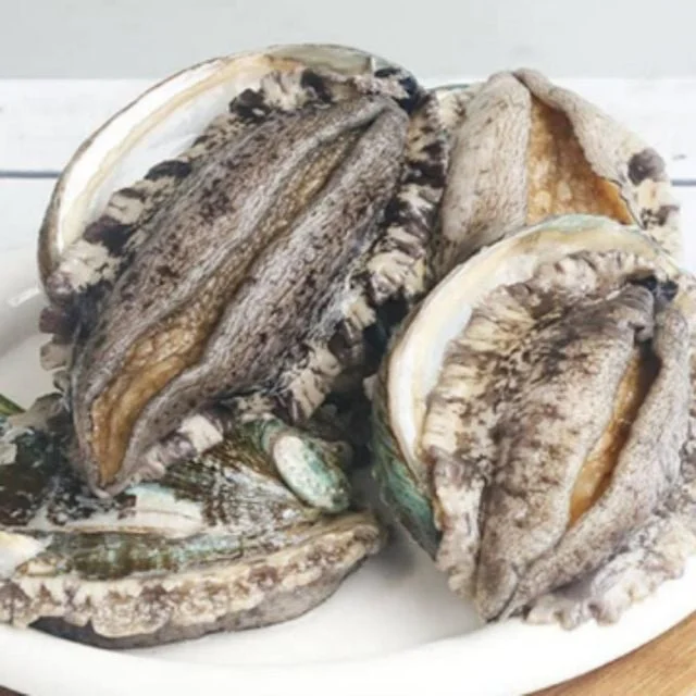 완도 활 전복 대왕 특대 6미 내외 1kg 선물포장 abalone
