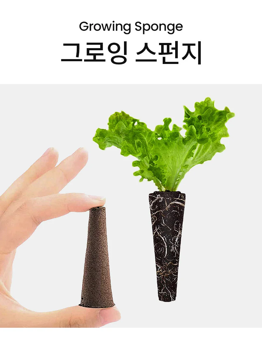 그로잉 스펀지(1P) 상세1