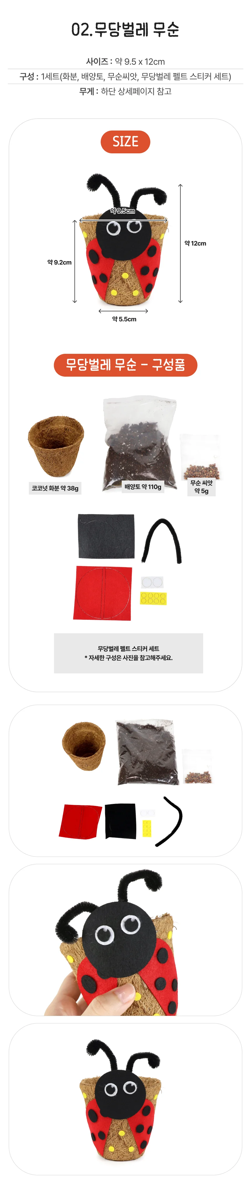새싹채소 코코넛 화분 꾸미기 꿀벌 보리 상세3