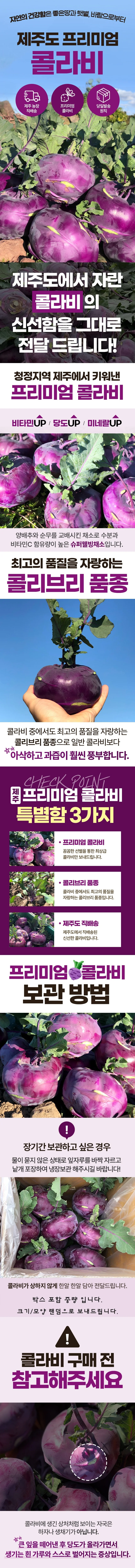 국내산 콜라비 정품 10kg 상세1