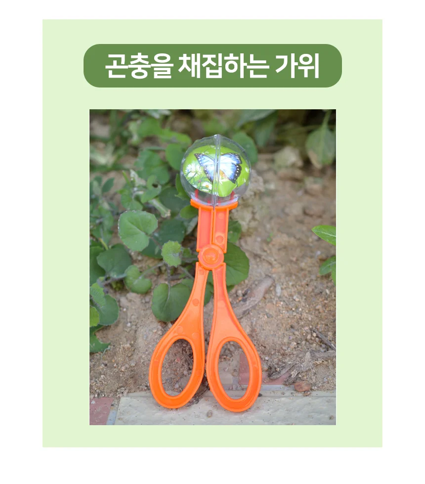 곤충채집 관찰 가위(대) 상세3