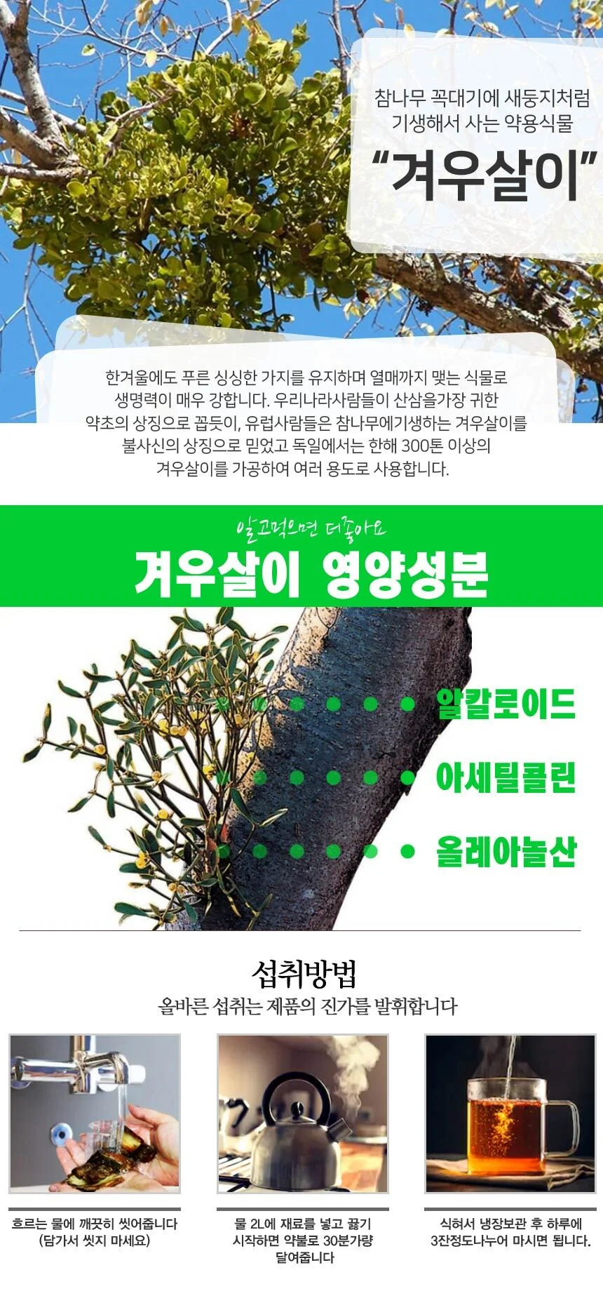 산해랑 겨우살이 곡기생 국내산 300g 상세2