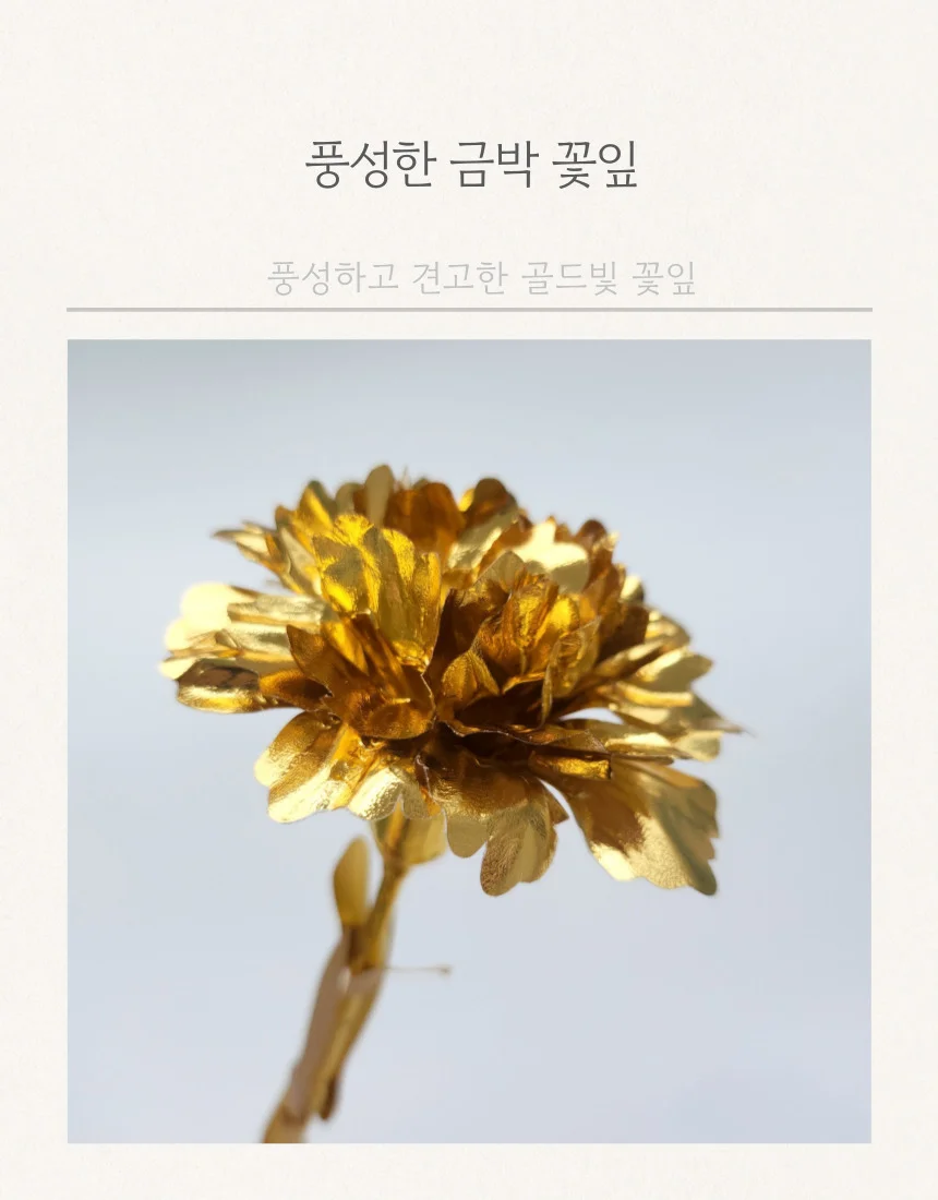 카네이션 조화 골드 어버이날 스승의날 행사 선물 상세4