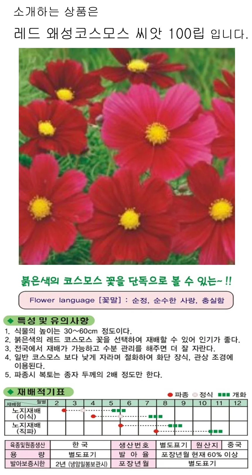 레드 코스모스 꽃씨 종자 품종 씨앗 100립 상세1