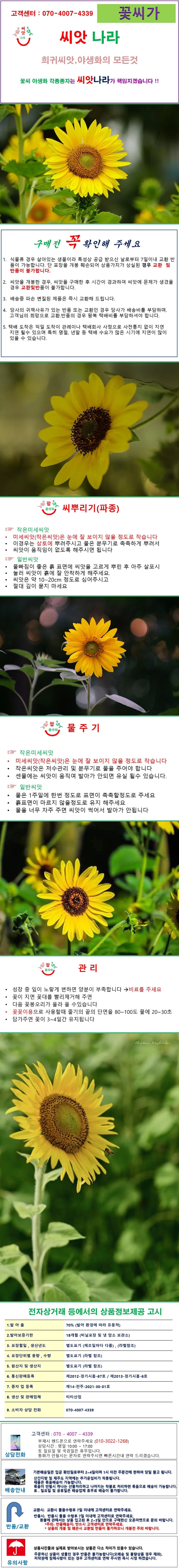 예루살렘해바라기 씨앗 10립 상세1