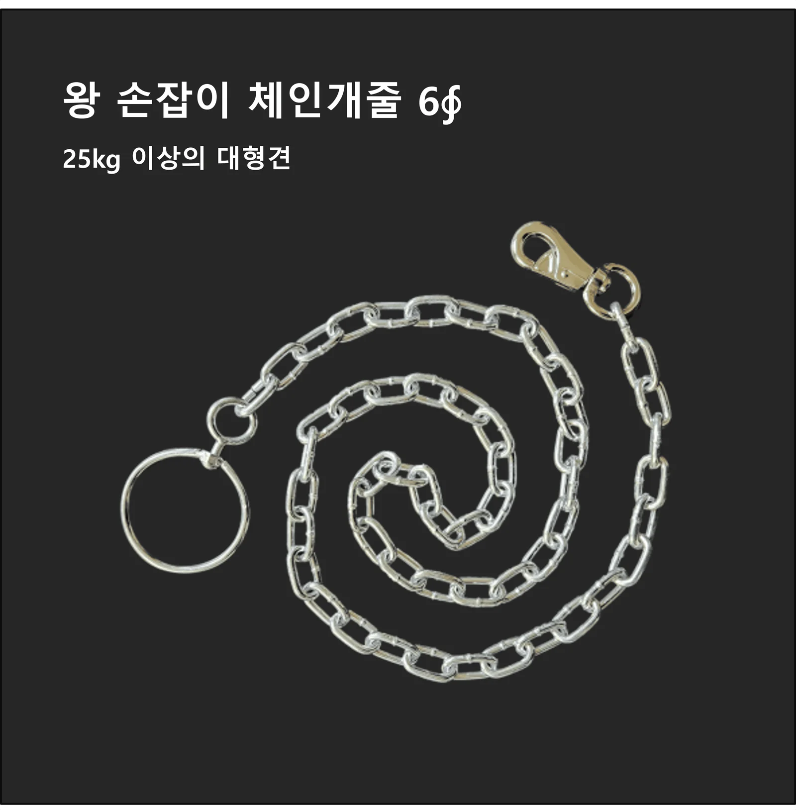 제이제이펫 체인개줄 6파이 강아지체인줄 강아지리드줄 상세3