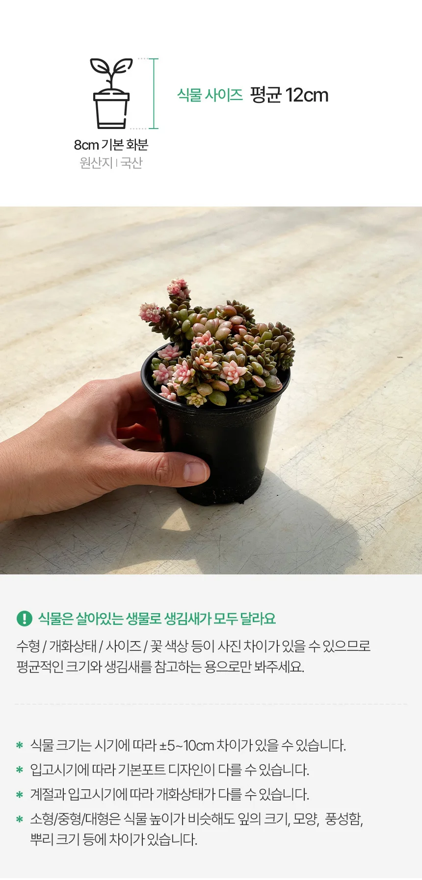 리틀잼금 (소형) 상세3