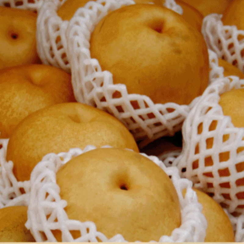 과일 배 26년 햇배 원황 가정용 5Kg delicious pear 상세2