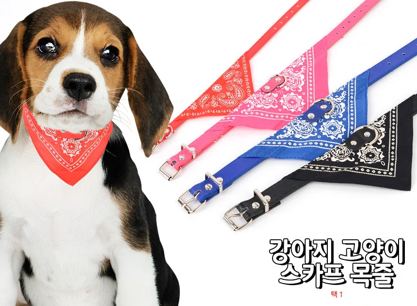 강아지 고양이 스카프 목줄 상세1