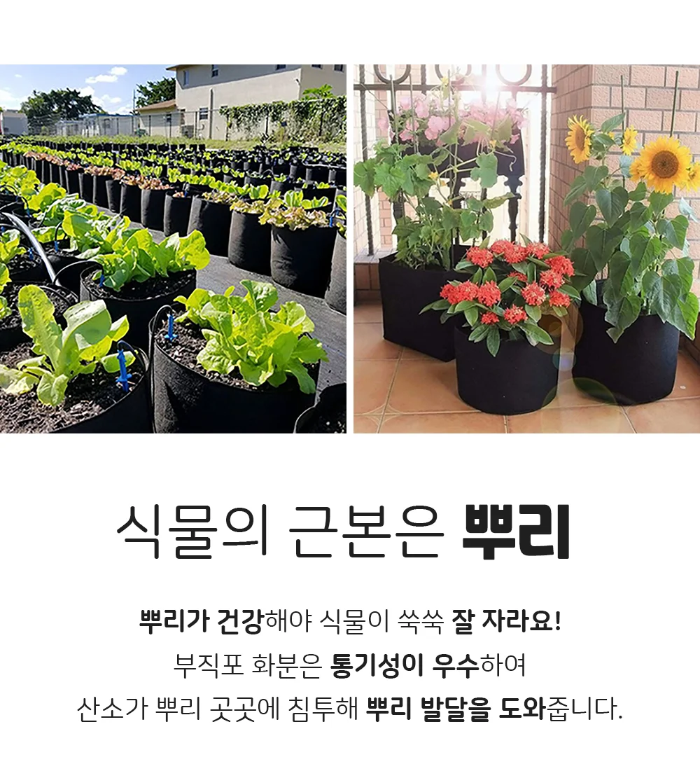 부직포화분 6호 (H=40cm D=60cm) 5P 상세3