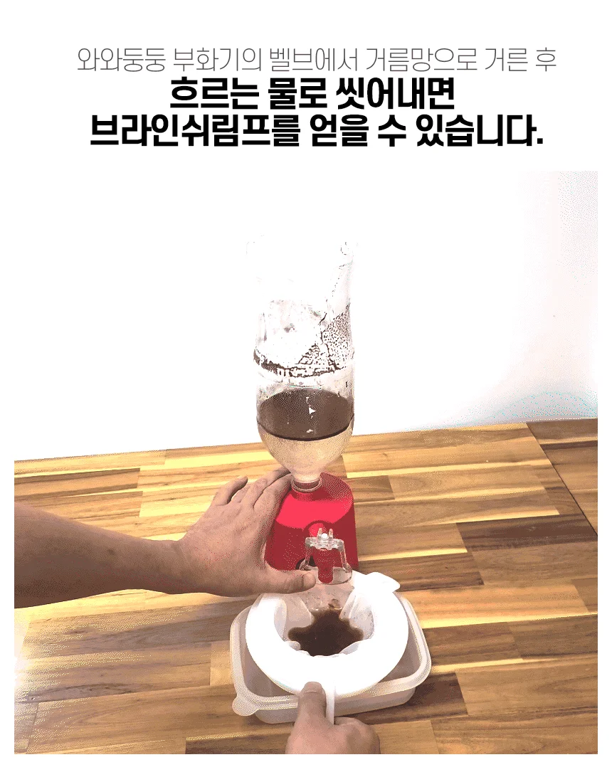 어와 둥둥 브라인쉬 림프 거름망 상세2