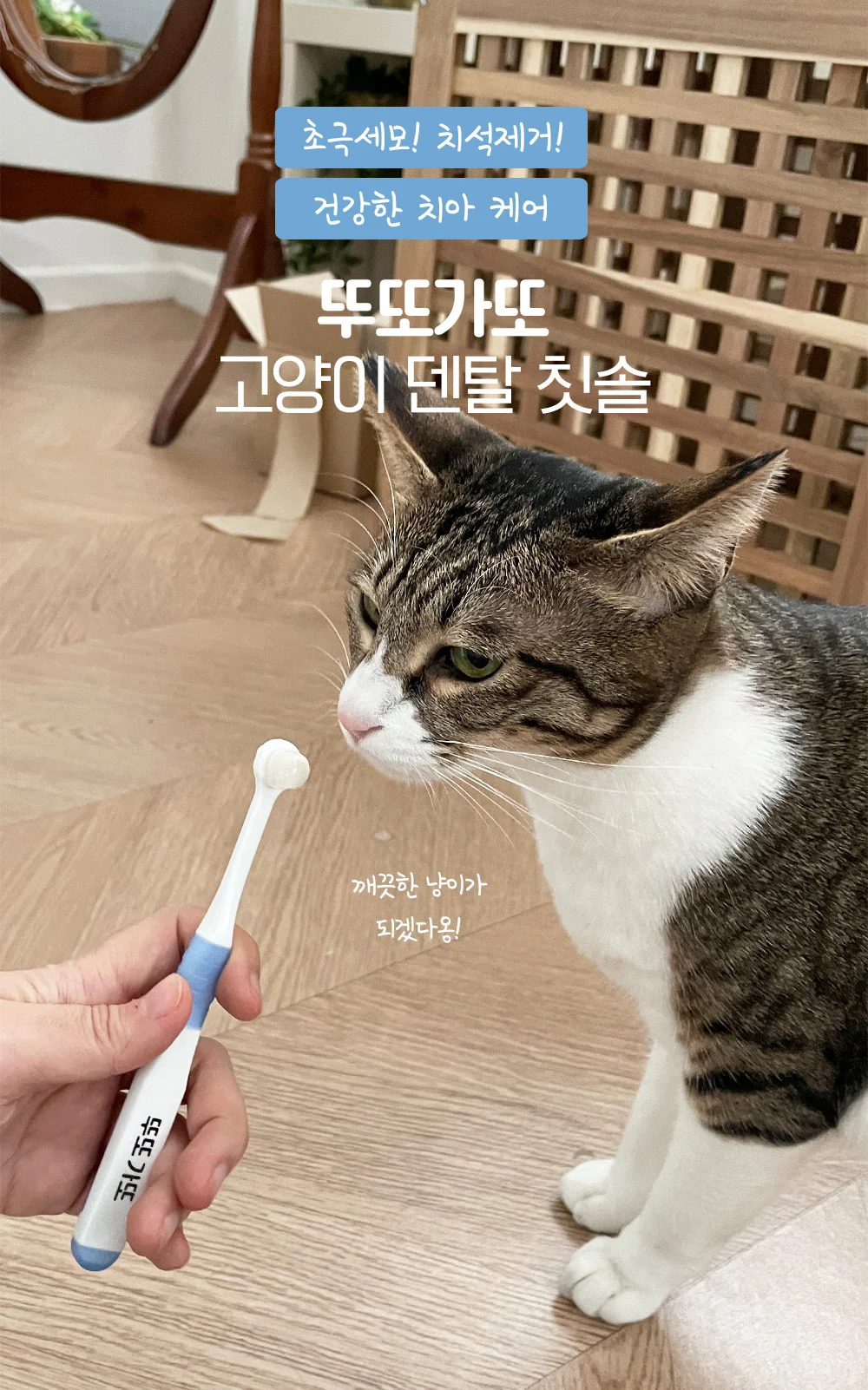 뚜또가또 초극세모 덴탈 칫솔/구강관리/클린칫솔 상세5