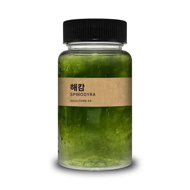 해캄 생물관찰 광합성실험 과학 슬라이드 현미경 교과서 생물 관찰도구 100ml 교구