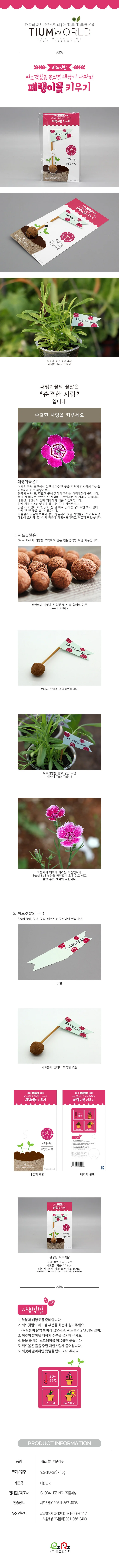 뚝딱 틔움 식물키우기 씨드 패키지 깃발 교구 재료 상세2