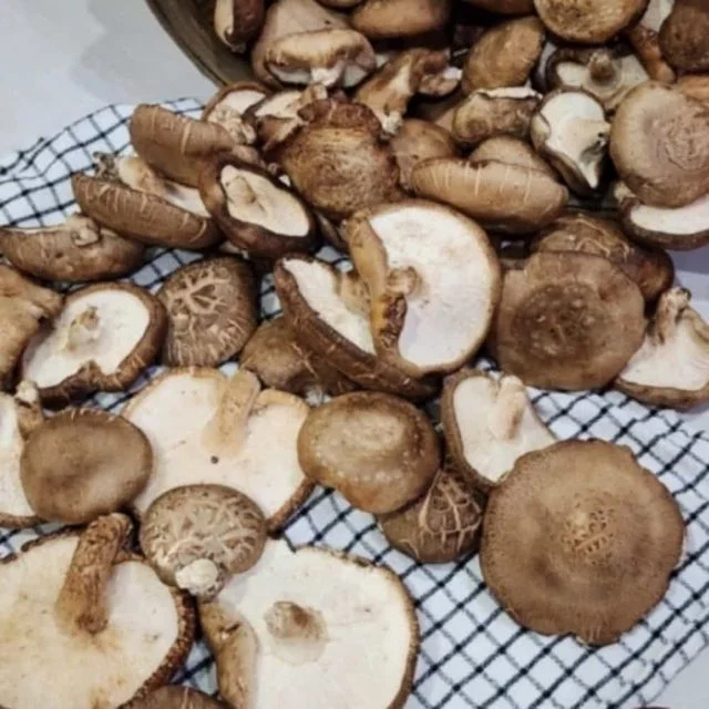 못난이 표고버섯 1kg 국내산 표고버섯