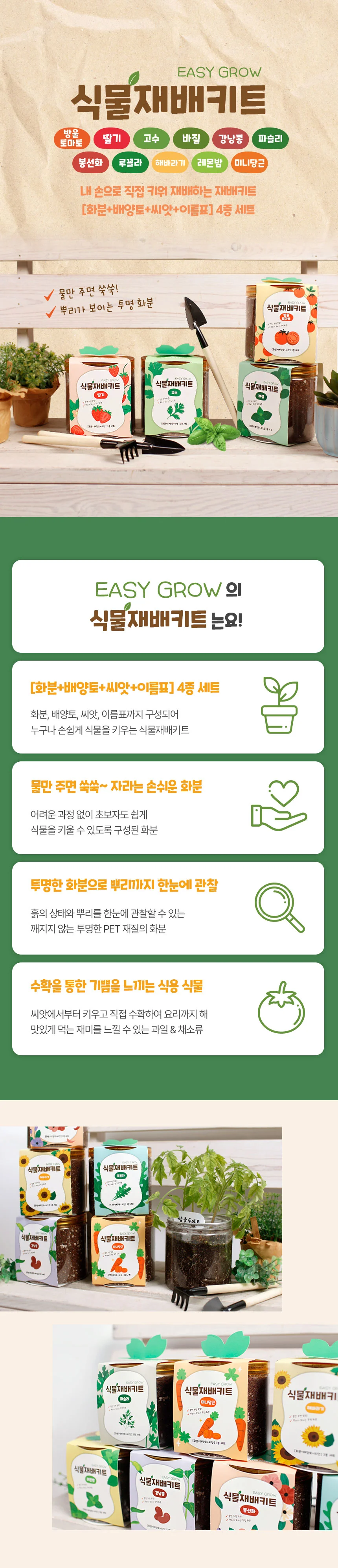 씨앗+화분+배양토 식물키우기키트 집에서딸기키우기 상세3