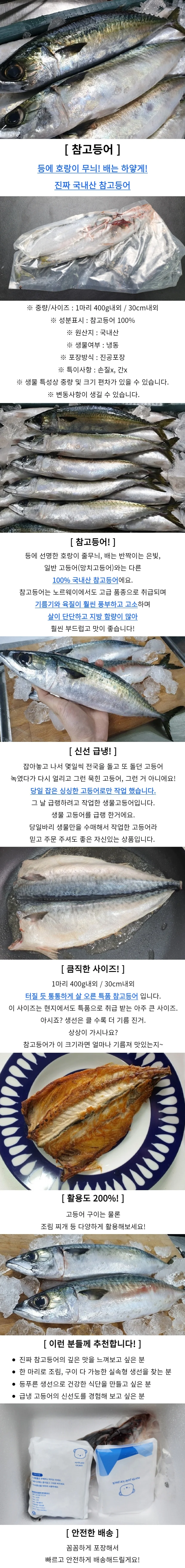 국내산 냉동 고등어 8미 상세1
