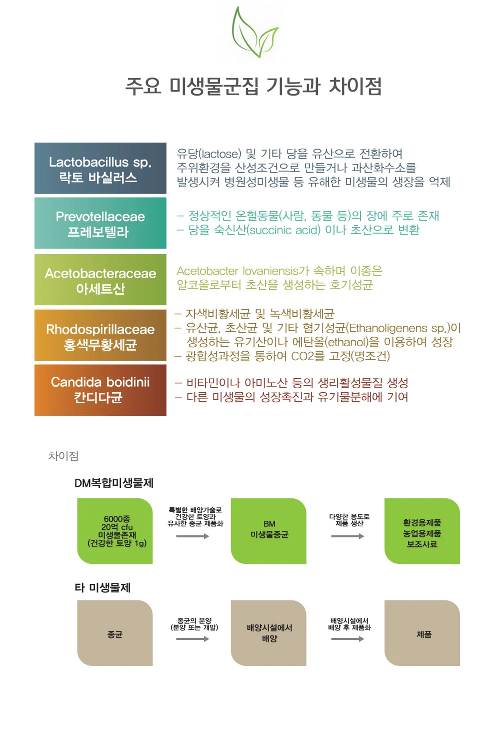 쑥쑥튼튼 액체비료 500ml 미생물 비료 과일 채소 인산 토양개량 상세4