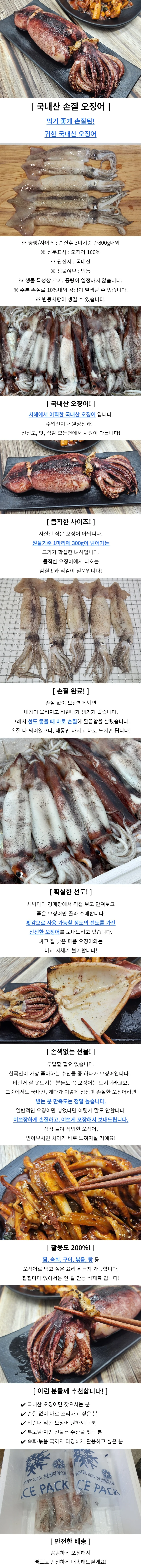 냉동 오징어 3미 오징어볶음 오징어찜 냉동해산물 상세1