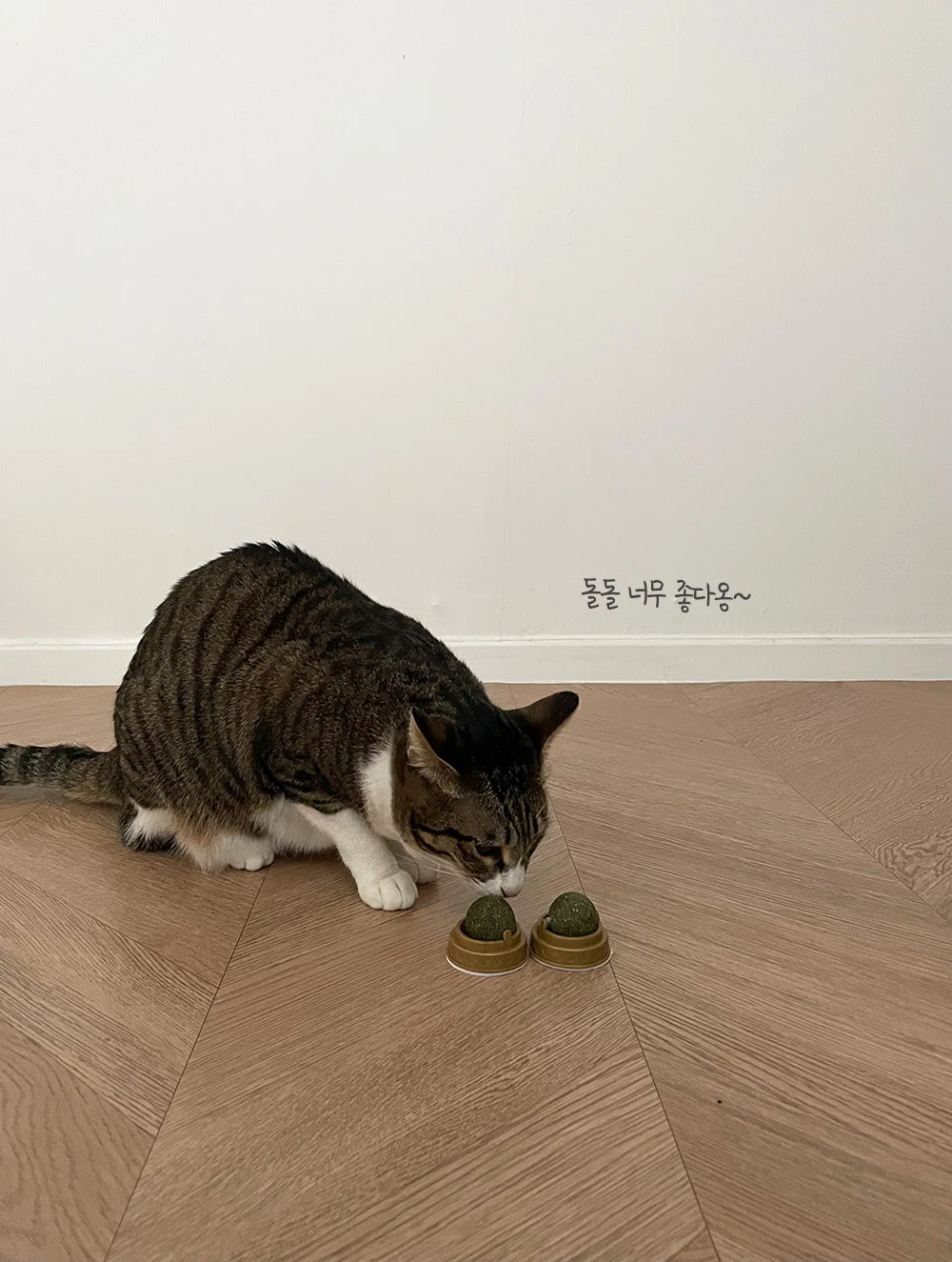 뚜또가또 캣닢 사탕/롤링 캣잎사탕 2개입 상세3