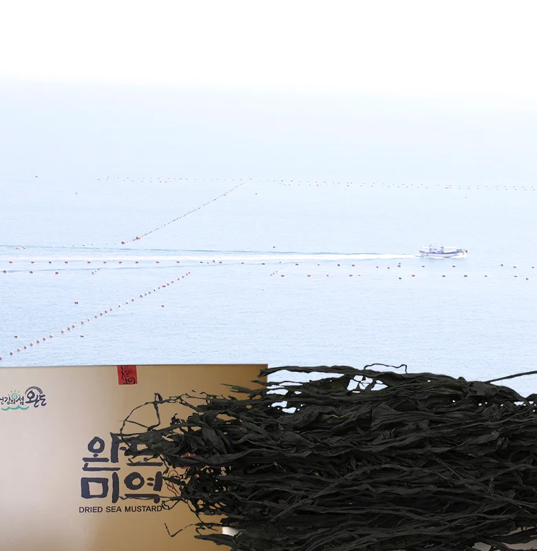 완도건미역 10kg 상세3