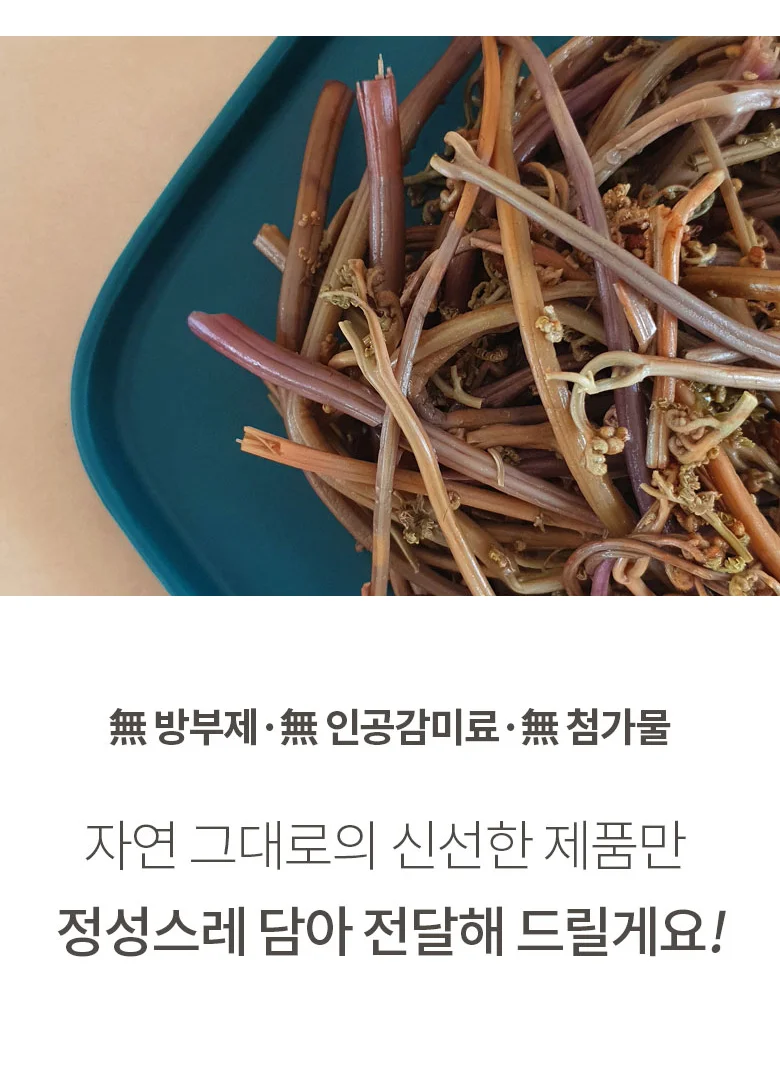 국내산 데친 고사리 500g 상세3